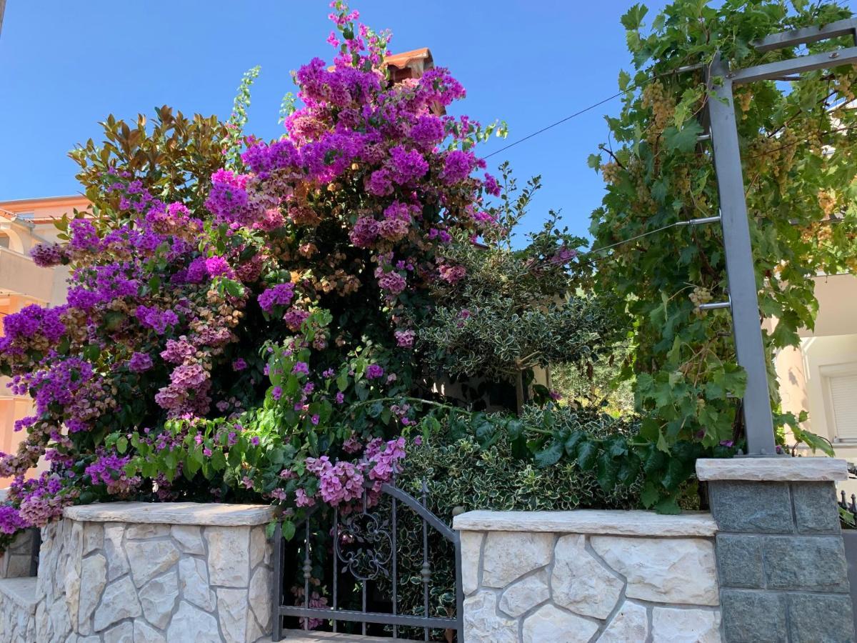 Apartments Dumancic Biograd Na Moru Dış mekan fotoğraf